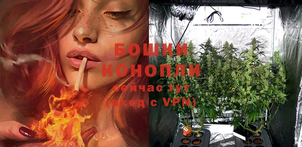 кокаин перу Богданович