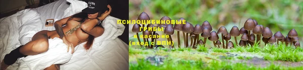 Альфа ПВП Богородицк