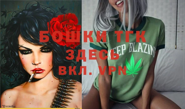 Альфа ПВП Богородицк